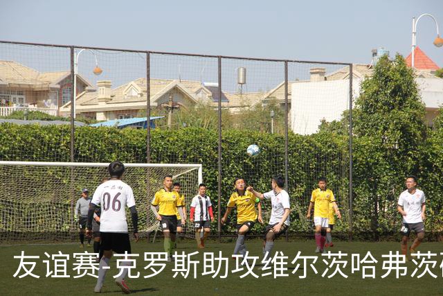 友谊赛-克罗斯助攻维尔茨哈弗茨破门 德国2-0法国